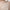 BEIGE KNITTED BODYSUIT WITH VISCOSE