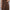 Chocolate long palazzo trousers made of viscose